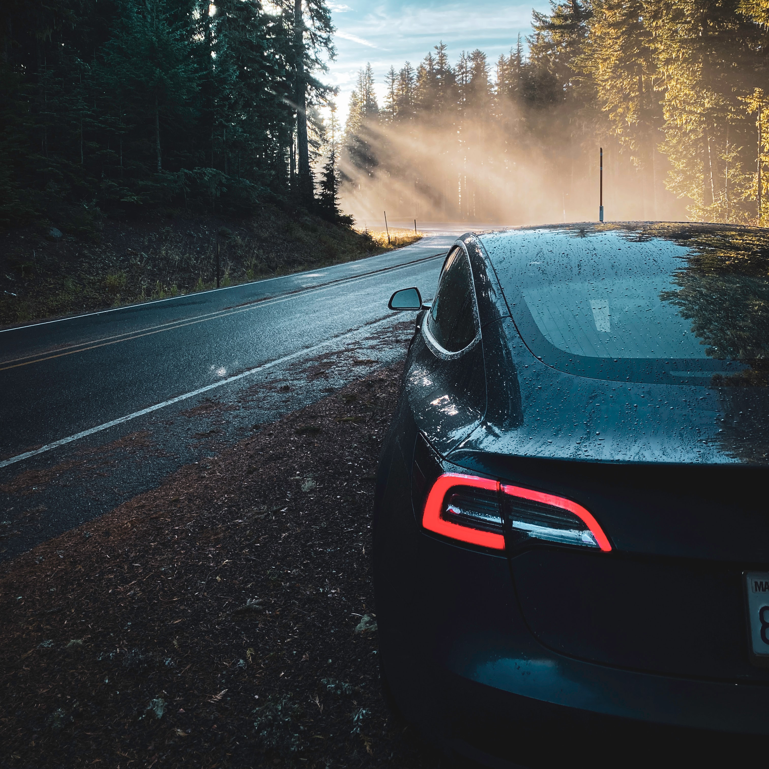 Product snapshot: Tesla roars ahead   